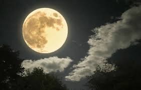 Ayami Imaiの写メ日記｜エレガント 吉原高級店ソープ