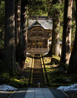 Ayami Imaiの写メ日記｜エレガント 吉原高級店ソープ