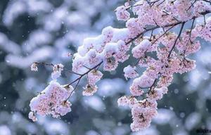 Ayami Imaiの写メ日記｜エレガント 川崎高級店ソープ