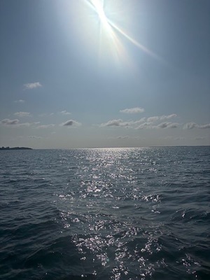 Ayami Imaiの写メ日記｜エレガント 吉原高級店ソープ