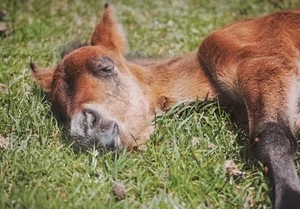 Ayami Imaiの写メ日記｜エレガント 吉原高級店ソープ