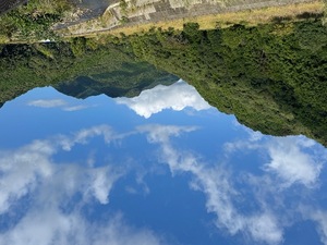 Rin Izumiの写メ日記｜エレガント 吉原高級店ソープ