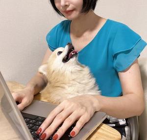 Saika　Houzukiの写メ日記｜エレガント 吉原高級店ソープ