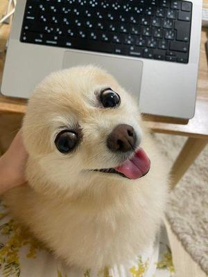 Saika　Houzukiの写メ日記｜エレガント 吉原高級店ソープ