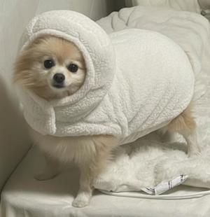 Saika　Houzukiの写メ日記｜エレガント 川崎高級店ソープ