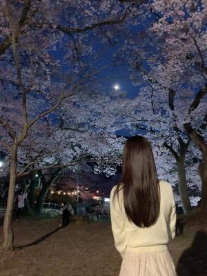 Shizuku Tsukinoの写メ日記｜エレガント 吉原高級店ソープ