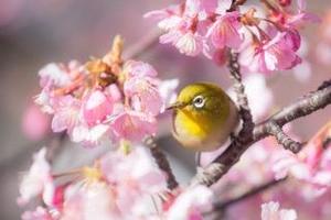 Shizuku Tsukinoの写メ日記｜エレガント 吉原高級店ソープ