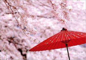 Shizuku Tsukinoの写メ日記｜エレガント 吉原高級店ソープ