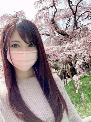 Shizuku Tsukinoの写メ日記｜エレガント 吉原高級店ソープ