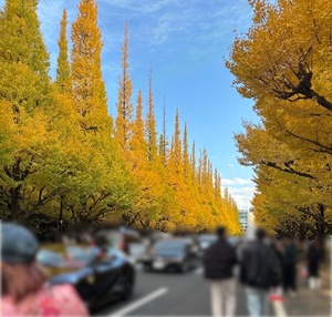 Mao Joukaの写メ日記｜エレガント 川崎高級店ソープ