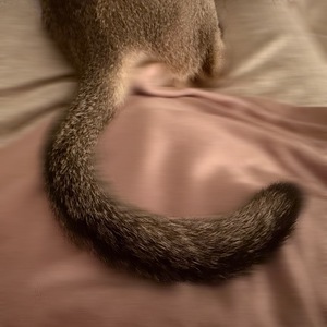 Sena Mizuharaの写メ日記｜エレガント 吉原高級店ソープ