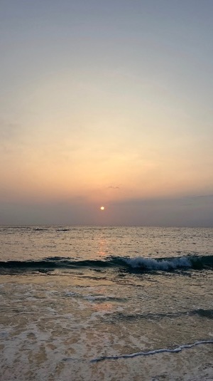 Sena Mizuharaの写メ日記｜エレガント 吉原高級店ソープ