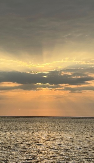 Sena Mizuharaの写メ日記｜エレガント 吉原高級店ソープ