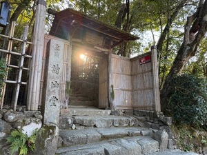 Sena Mizuharaの写メ日記｜エレガント 吉原高級店ソープ