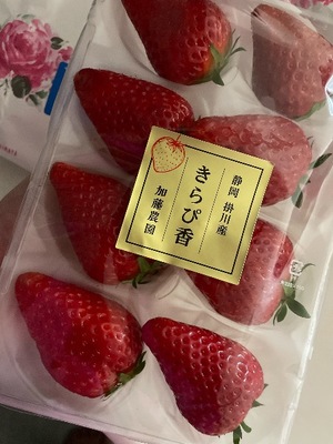 Megumi Niiyamaの写メ日記｜エレガント 吉原高級店ソープ