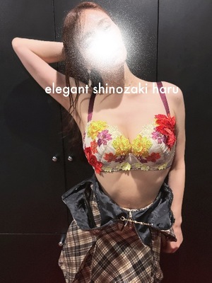 Haru Shinozakiの写メ日記｜エレガント 吉原高級店ソープ