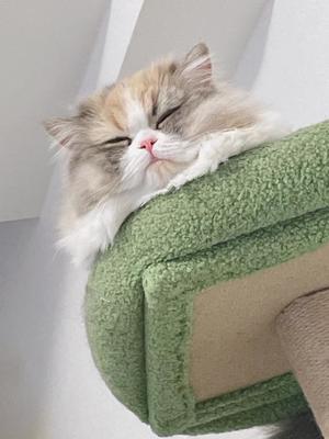 神楽のあの写メ日記｜エトワール 吉原高級店ソープ