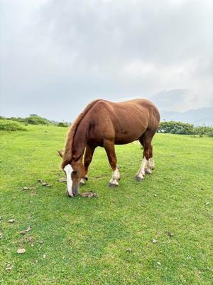 すず【20代】の写メ日記｜ガータープリンセス&ミセス 吉原格安店ソープ