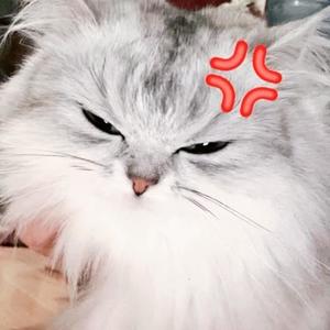 シュリ【20代】の写メ日記｜ガータープリンセス&ミセス 吉原格安店ソープ