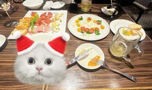 シュリ【20代】の写メ日記｜ガータープリンセス&ミセス 吉原格安店ソープ