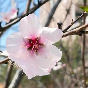 あおい【20代】の写メ日記｜ガータープリンセス&ミセス 吉原格安店ソープ