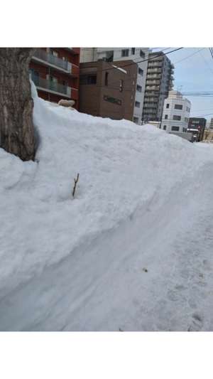 新垣いちかの写メ日記｜ハールブルク 吉原高級店ソープ