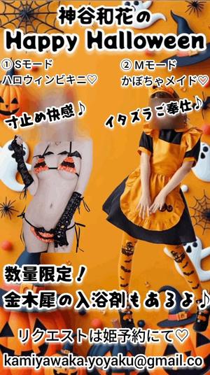 神谷和花の写メ日記｜ハールブルク 吉原高級店ソープ