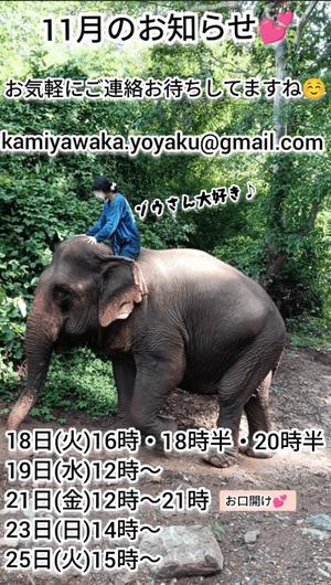 神谷和花の写メ日記｜ハールブルク 吉原高級店ソープ