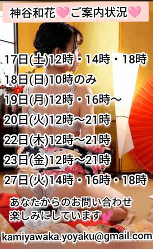 神谷和花の写メ日記｜ハールブルク 吉原高級店ソープ