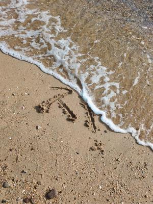 神谷和花の写メ日記｜ハールブルク 吉原高級店ソープ