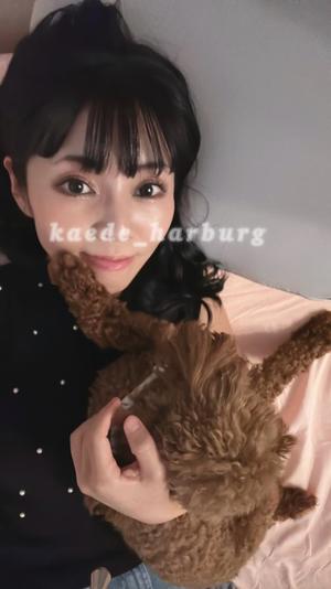 浜川 楓の写メ日記｜ハールブルク 吉原高級店ソープ