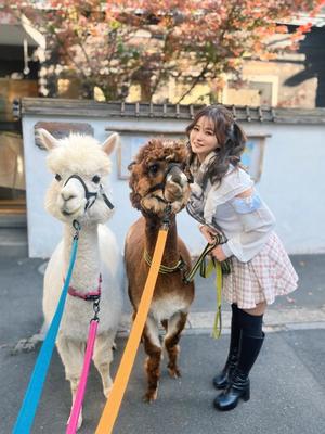 岩佐芽奈の写メ日記｜ハールブルク 吉原高級店ソープ