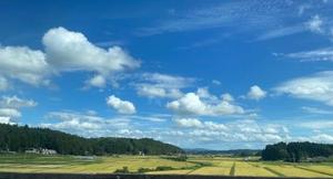橘 杏紗の写メ日記｜ハールブルク 吉原高級店ソープ