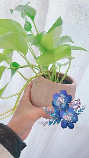 倉沢里胡の写メ日記｜ハールブルク 吉原高級店ソープ