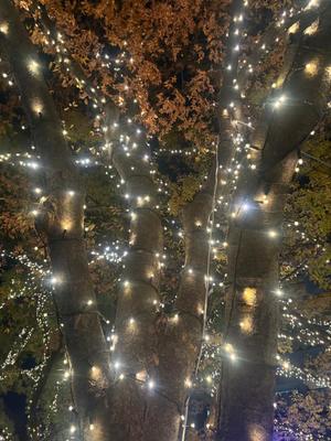 乃木風香の写メ日記｜ハールブルク 吉原高級店ソープ