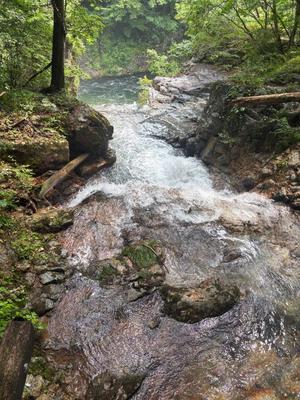 乃木風香の写メ日記｜ハールブルク 吉原高級店ソープ