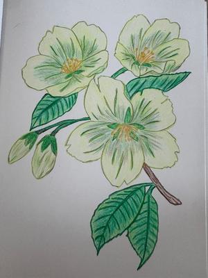 乃木風香の写メ日記｜ハールブルク 吉原高級店ソープ