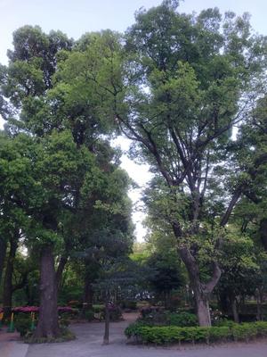 菜月理亜の写メ日記｜ハールブルク 吉原高級店ソープ