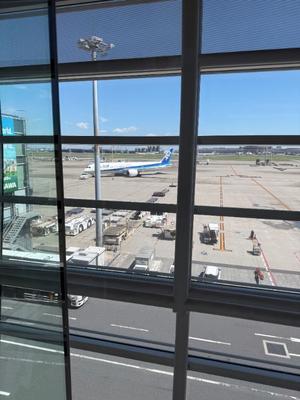 叶 麗花の写メ日記｜ハールブルク 吉原高級店ソープ