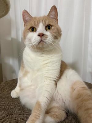 叶 麗花の写メ日記|ハールブルク 吉原高級店ソープ