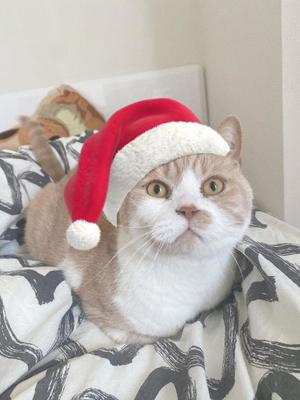 叶 麗花の写メ日記｜ハールブルク 吉原高級店ソープ