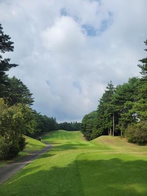 希咲由真の写メ日記｜ハールブルク 吉原高級店ソープ