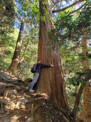 希咲由真の写メ日記｜ハールブルク 吉原高級店ソープ