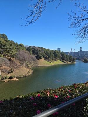 希咲由真の写メ日記｜ハールブルク 吉原高級店ソープ