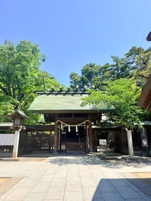 五月あいりの写メ日記｜ハールブルク 吉原高級店ソープ
