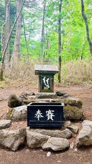 五月あいりの写メ日記｜ハールブルク 吉原高級店ソープ