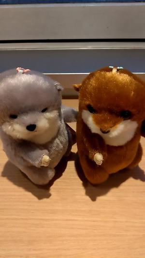 羽田真希の写メ日記｜ハールブルク 吉原高級店ソープ