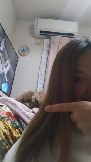 白鷺さらの写メ日記|ハールブルク 吉原高級店ソープ