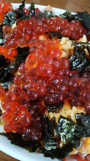 白鷺さらの写メ日記｜ハールブルク 吉原高級店ソープ