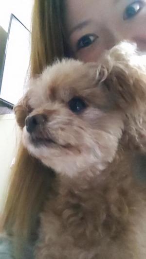 白鷺さらの写メ日記｜ハールブルク 吉原高級店ソープ